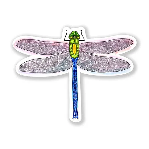 Dragonfly Sticker