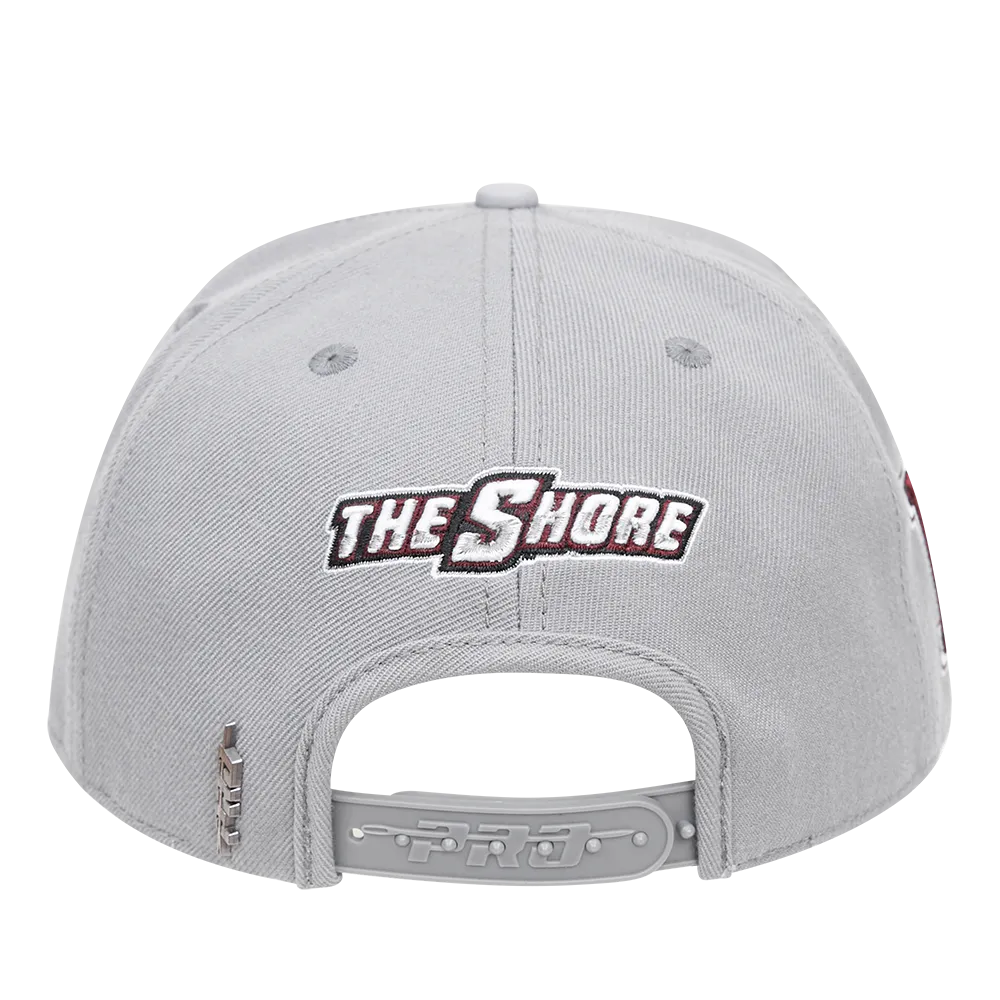 MARYLAND EASTERN SHORE CLASSIC UNISEX WOOL SNAPBACK HAT (GRAY)